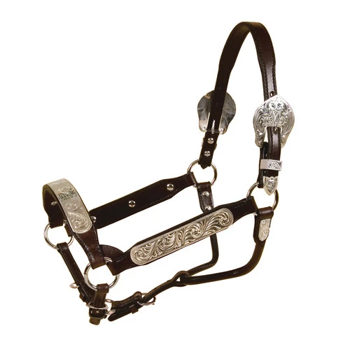 Tory Leather Rochester Congress Show Halter And Lead 1 Tory Leather Rochester Congress Show Halter And Lead