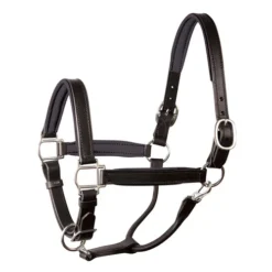 Perri's Padded Leather Halter