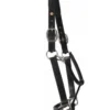 HDR Pony Fancy Padded Leather Halter