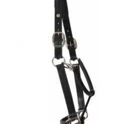 HDR Pony Fancy Padded Leather Halter