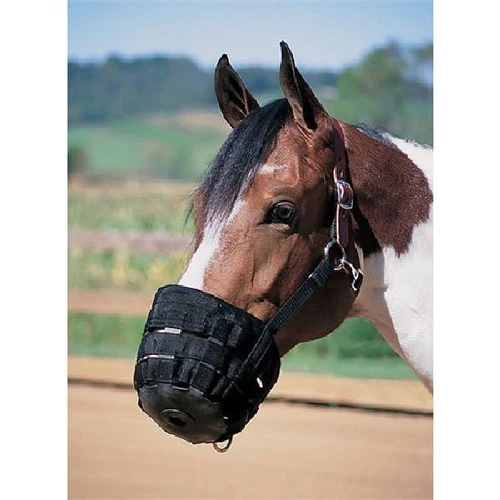 Weaver Leather Weaver Grazing Muzzle 1 Weaver Leather Weaver Grazing Muzzle