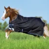 Horseware Ireland Pony Horseware Amigo Bravo 12 Original Rain Sheet
