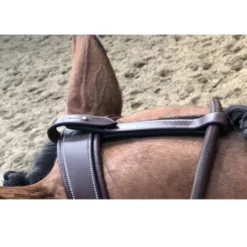 Jump'in Patrick Training Aid 6 Jump'in Patrick Training Aid -Horse Set Sales Store Patrick Training Aid havana poll jumpin 64436.1645560092