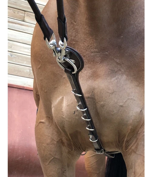 Jump'in Patrick Training Aid 1 Jump'in Patrick Training Aid