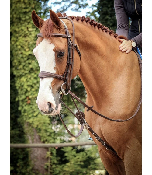 Jump'in Patrick Training Aid 2 Jump'in Patrick Training Aid - Image 2