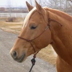 Double Diamond Buck Brannaman 124 Rope Halter