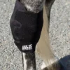 Ice Horse Hock Wrap With Inserts - SINGLE