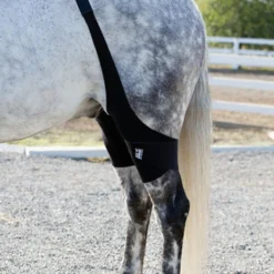 Ice Horse Stifle Wrap 9 Ice Horse Stifle Wrap -Horse Set Sales Store aaaaaaaowy 41920 94281.1595626962