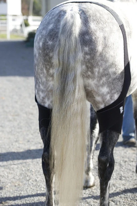 Ice Horse Stifle Wrap 3 Ice Horse Stifle Wrap - Image 3