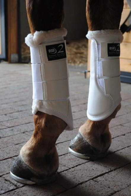 DSB2 Dressage Sport Boot 2 1 DSB2 Dressage Sport Boot 2