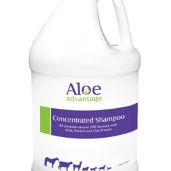 Aloe Advantage Concentrated Shampoo - Gallon