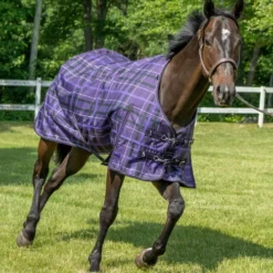 Pessoa Alpine Plaid Turnout Blanket