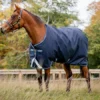 Horseware Ireland Horseware Amigo Bravo 12 Medium Turnout 250g