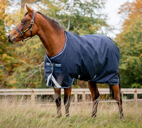Horseware Ireland Horseware Amigo Bravo 12 Medium Turnout 250g 1 Horseware Ireland Horseware Amigo Bravo 12 Medium Turnout 250g