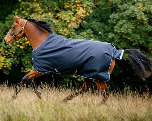 Horseware Ireland Horseware Amigo Bravo 12 Medium Turnout 250g 4 Horseware Ireland Horseware Amigo Bravo 12 Medium Turnout 250g - Image 4