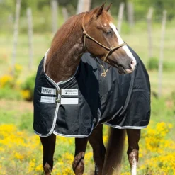Horseware Ireland Rambo Amigo Stock Horse Rain Sheet
