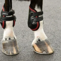 EquiFit AmpTeq Hind Boots With Color Binding -Horse Set Sales Store ampteqwithred 55711 81780.1595614807