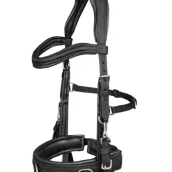 Waldhausen Anatomic Lunging Cavesson