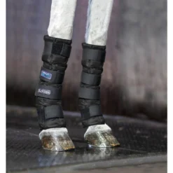 LeMieux Arctic Ice Boots -Horse Set Sales Store arctic ice boots black horse 3270 lemieux 92136.1636584686