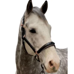 Halter Ego Aurelia Rose Gold Halter 9 Halter Ego Aurelia Rose Gold Halter -Horse Set Sales Store aurelia black pt rs gold halter ego 47724.1682994359