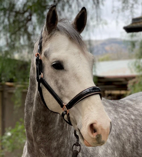 Halter Ego Aurelia Rose Gold Halter 2 Halter Ego Aurelia Rose Gold Halter - Image 2