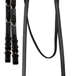 Bobby's English Tack German Martingale
