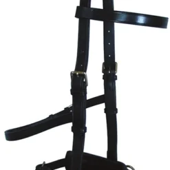 Bobby's English Tack Leather Lunge Caveson