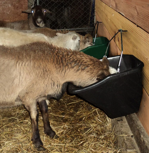 Little Giant 20 Quart Better Bucket 5 Little Giant 20 Quart Better Bucket - Image 5