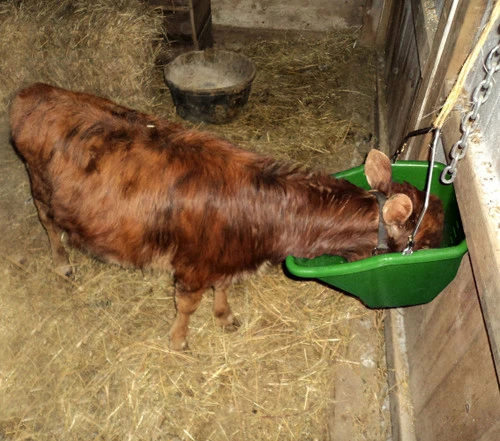 Little Giant 20 Quart Better Bucket 3 Little Giant 20 Quart Better Bucket - Image 3