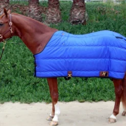 Big D Kodiak Stable Blanket -Horse Set Sales Store big d kodiak stable blanket royal 40392.1649964250