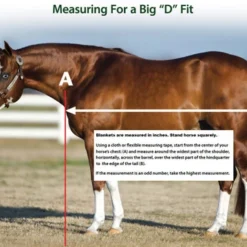 Big D Kodiak Stable Blanket