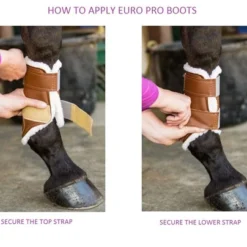 Euro Pro Rex Open Front Boot -Horse Set Sales Store boot apply guide euro pro 24461.1601669583