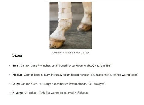 Euro Pro Thor Ankle Boots 2 Euro Pro Thor Ankle Boots - Image 2