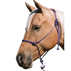 Double Diamond Buck Brannaman 124 Rope Halter -Horse Set Sales Store brannaman halter 124 RL double diamond 43478.1635012858