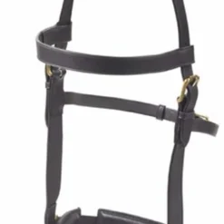 Camelot Leather Lunge Cavesson