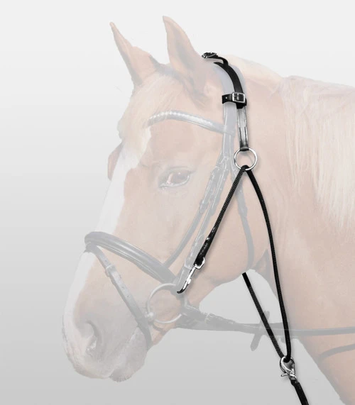 Waldhausen Chambon 2 Waldhausen Chambon - Image 2