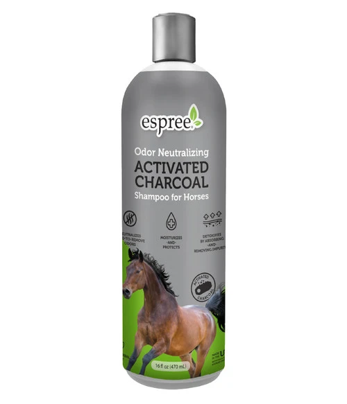 Espree Activated Charcoal Shampoo 1 Espree Activated Charcoal Shampoo