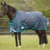 WeatherBeeta ComFiTec Plus Dynamic Standard Turnout