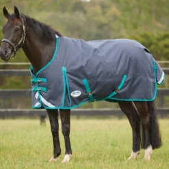 WeatherBeeta ComFiTec Plus Dynamic Standard Turnout