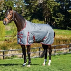 Pony WeatherBeeta ComFiTec Plus Dynamic Standard Turnout