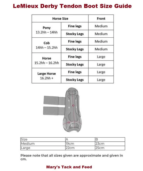 LeMieux Derby Tendon Boots 1 LeMieux Derby Tendon Boots