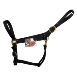 Big D Nylon Draft Halter - Snap + Adjustable Chin -Horse Set Sales Store draft halter black side big d mtf 52393.1649965225