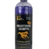 E3 Brightening Shampoo - 32 Oz