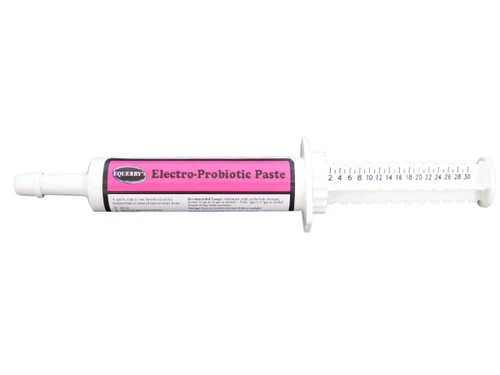 Equerry's Electro-Probiotic Paste 2 Equerry's Electro-Probiotic Paste - Image 2