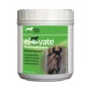 Elevate Maintenance Powder