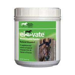 Elevate Maintenance Powder