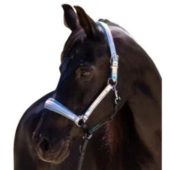 Halter Ego Elsa Halter -Horse Set Sales Store elsa halter neon.blue halter ego 47152.1682705317