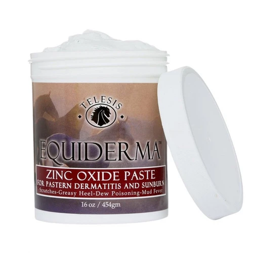 Equiderma Zinc Oxide Paste 1 Equiderma Zinc Oxide Paste