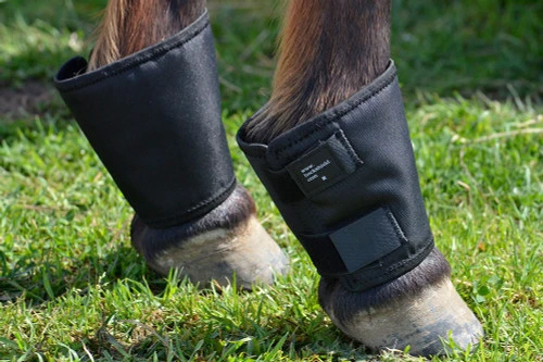 Click Fetlock Shields 1 Click Fetlock Shields