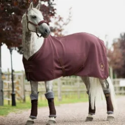 Horze Graz Cooler -Horse Set Sales Store graz cooler rum raisin brown horse horze 52591.1584902790